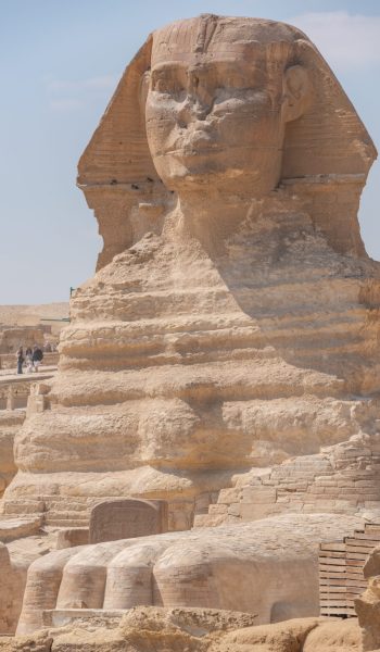 pexels-diego-f-parra-15127356